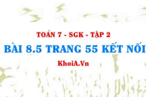Bài 8.5 trang 55 Toán 7 Kết nối tri thức Tập 2